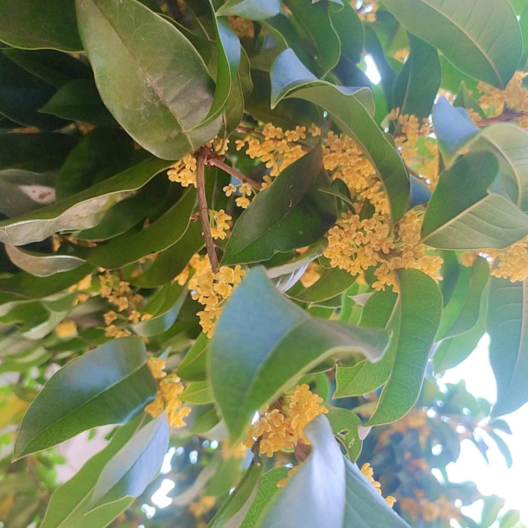 ༊࿆余生💞随心ღ᭄