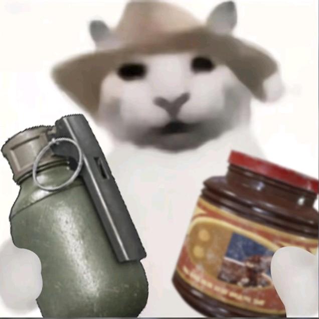 地皮收割王爱健身