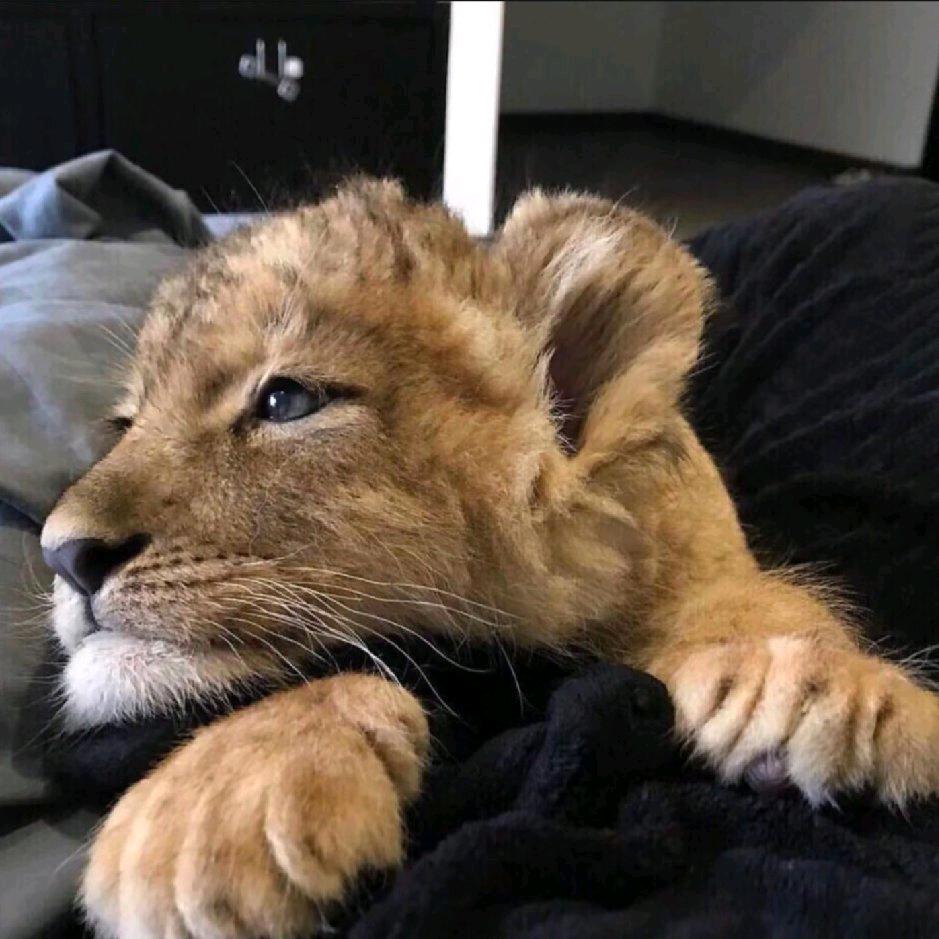 怀可电商（🍑系动销）