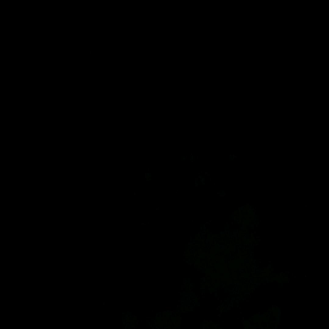 每一天都快乐