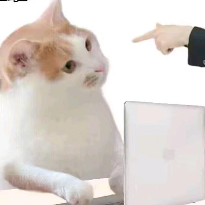 水尺灵