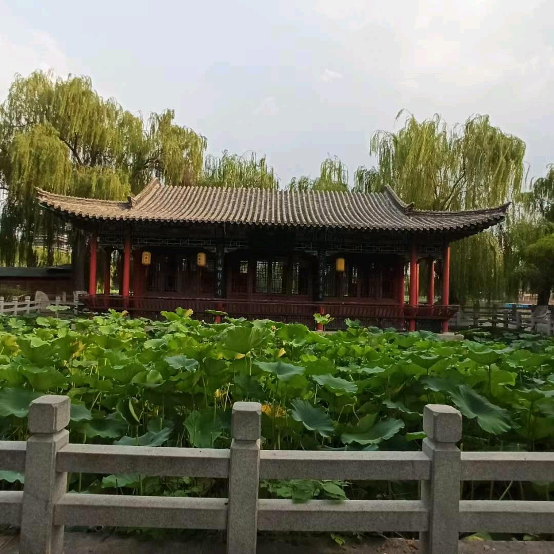 秀才2