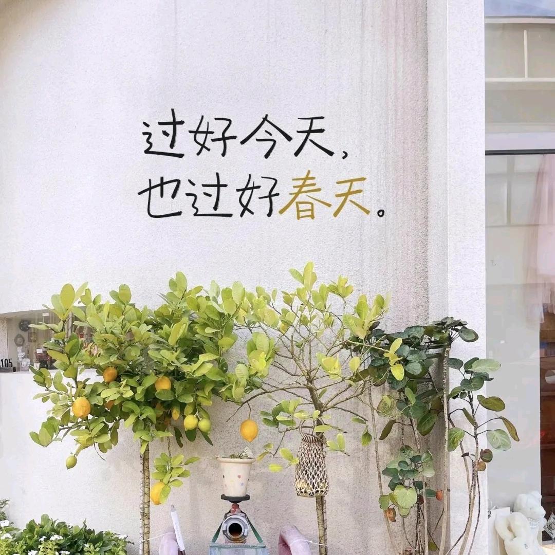 情感分享123789