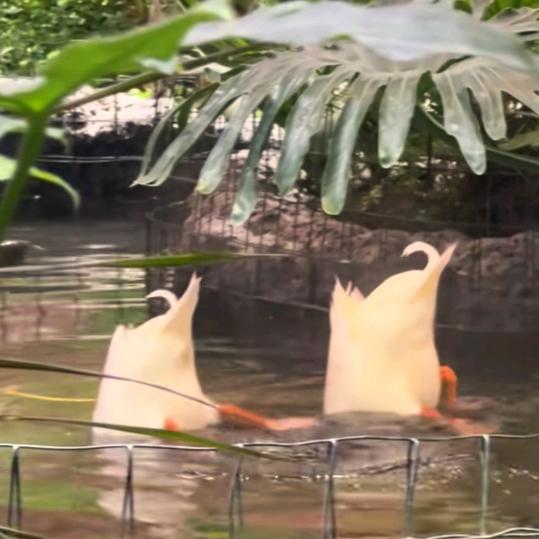 慢慢