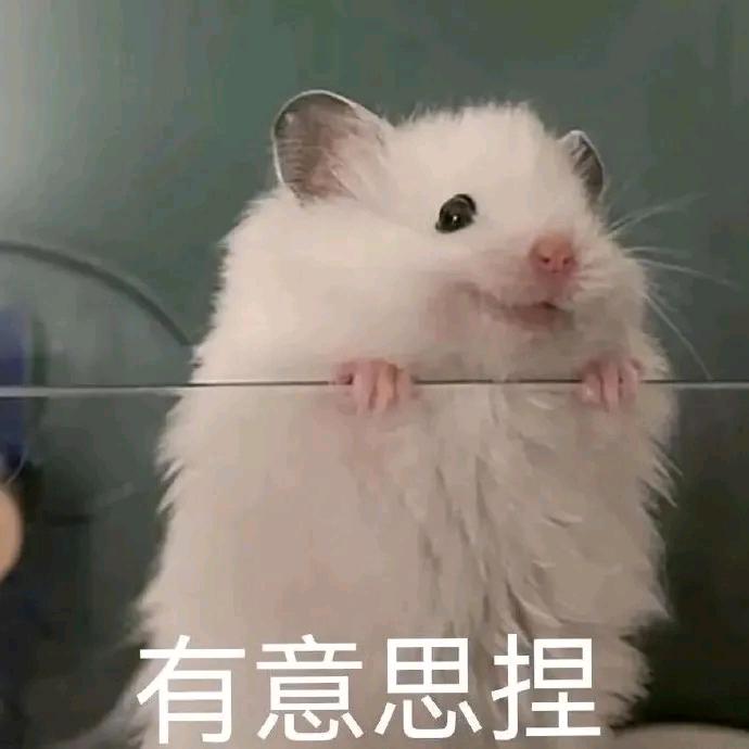 初见你