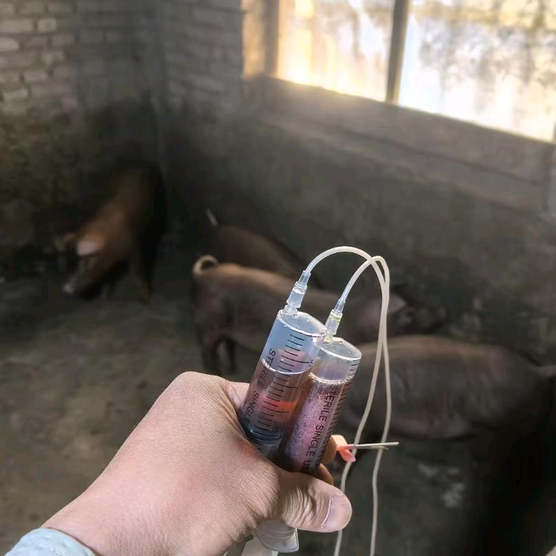 慢慢时光馆