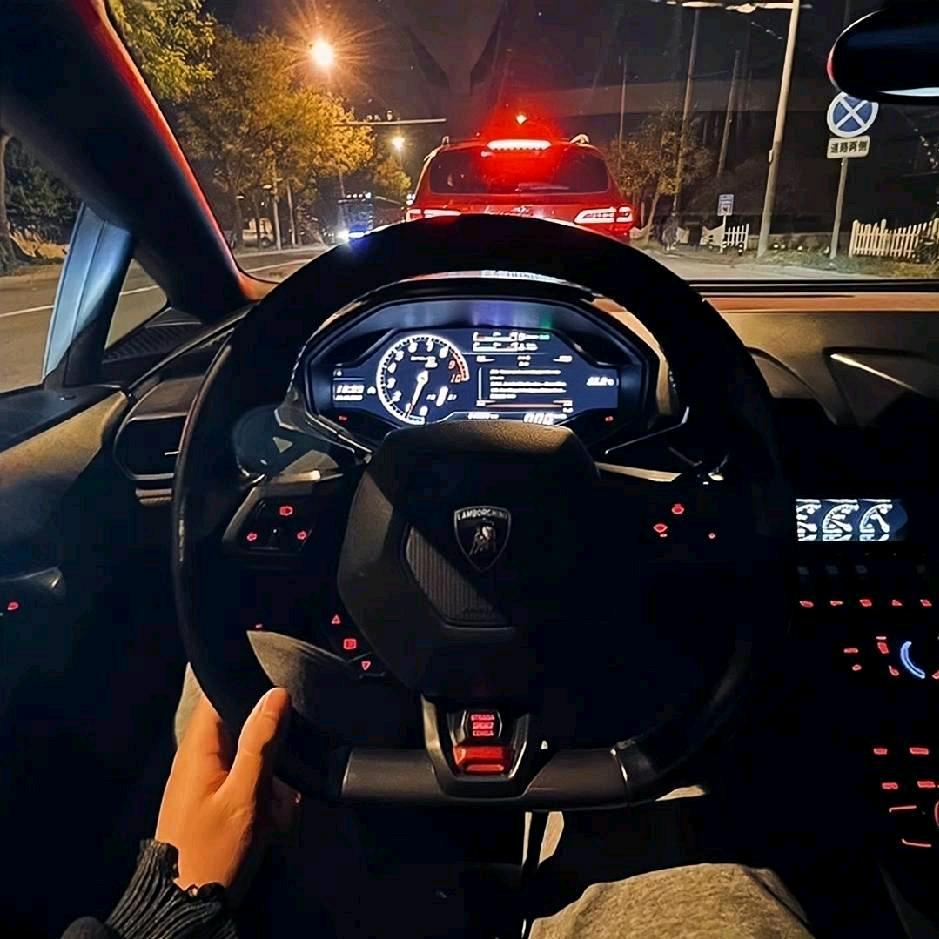 ئاچچىق ھايات