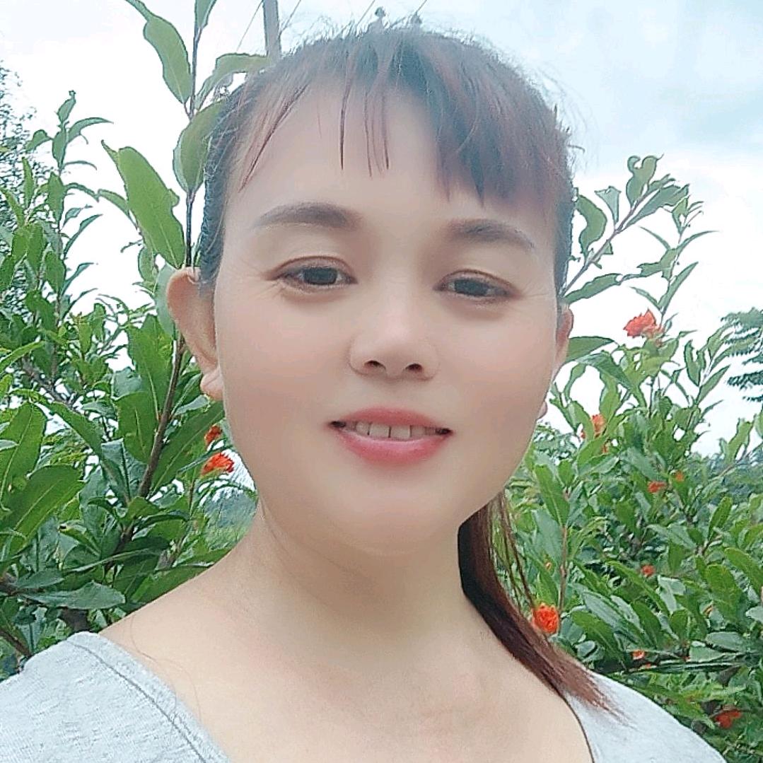 陪你四季