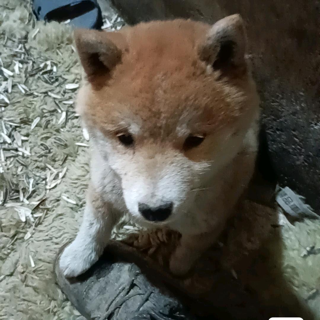 风雷雨电闪