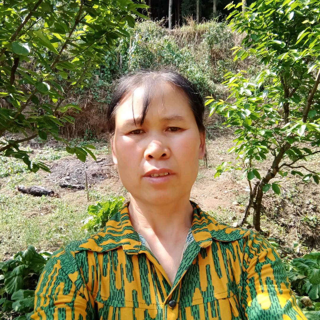 李三姐1