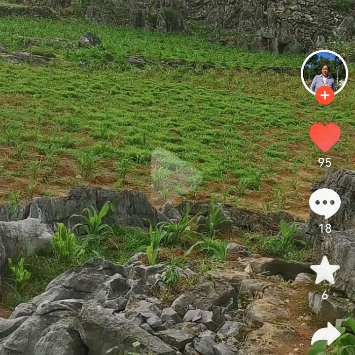 ‘一生缘份