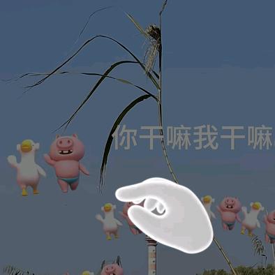 流水