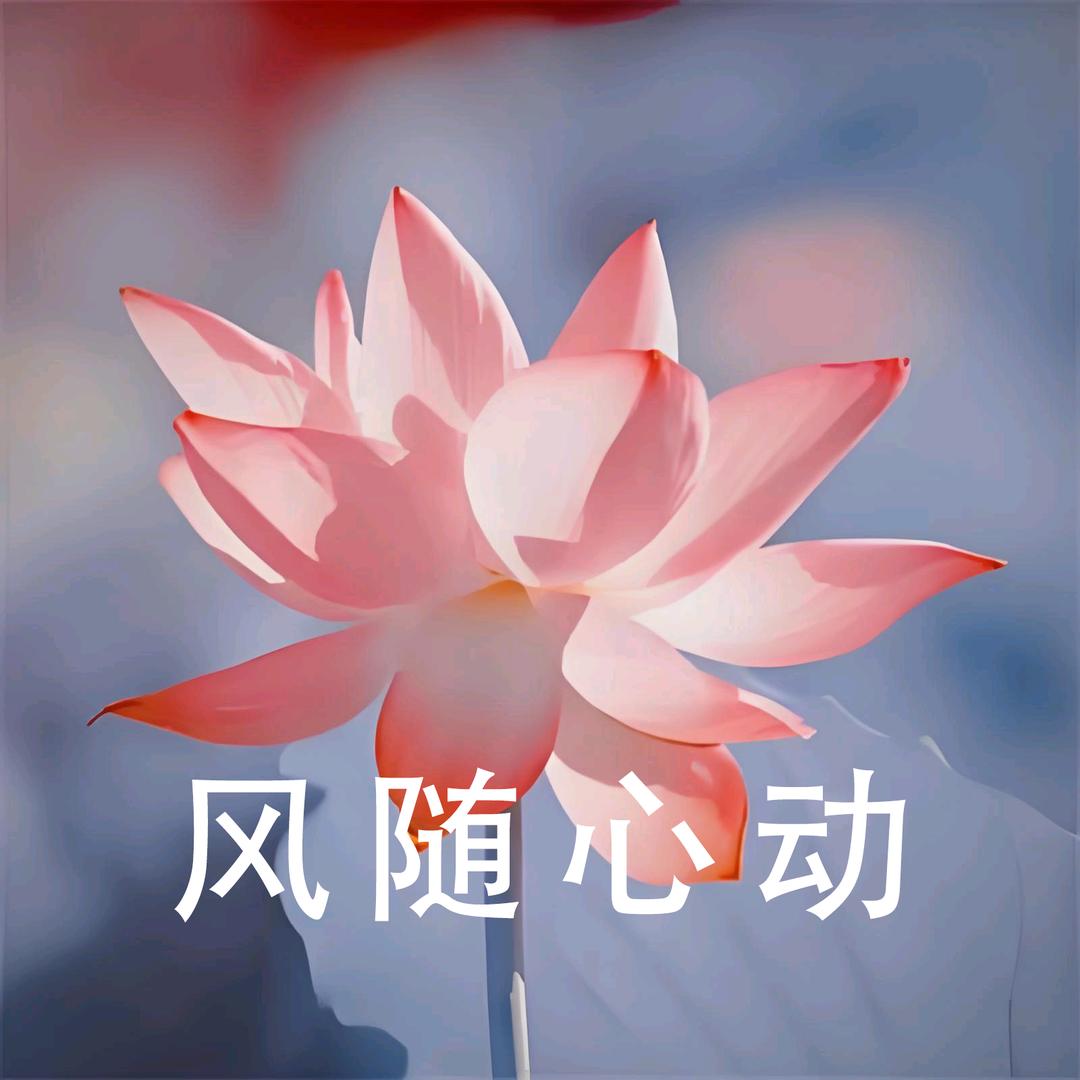 风随心动