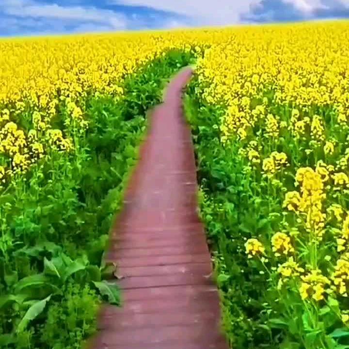 不再参与你的生活