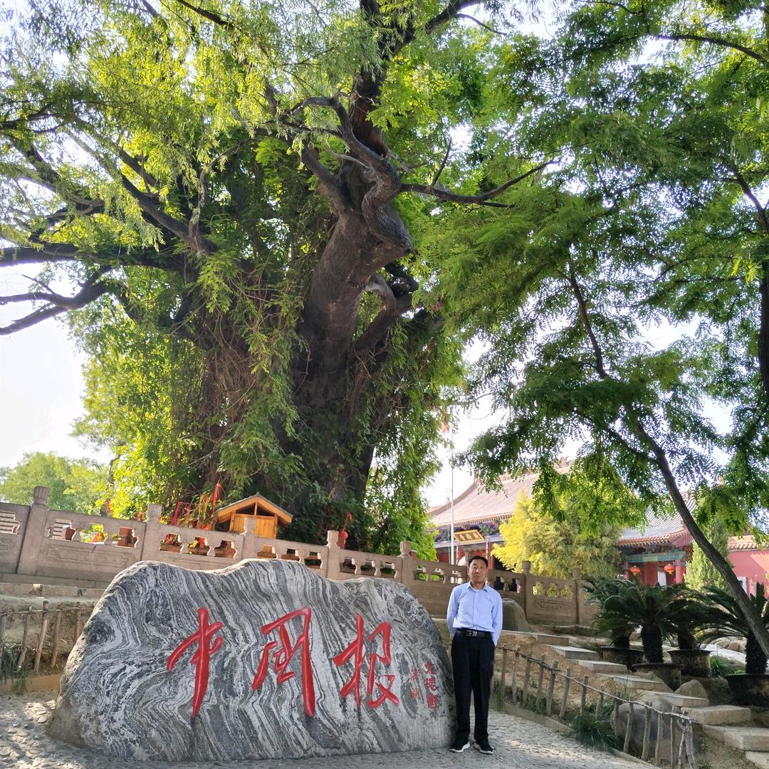 德行天下（李）