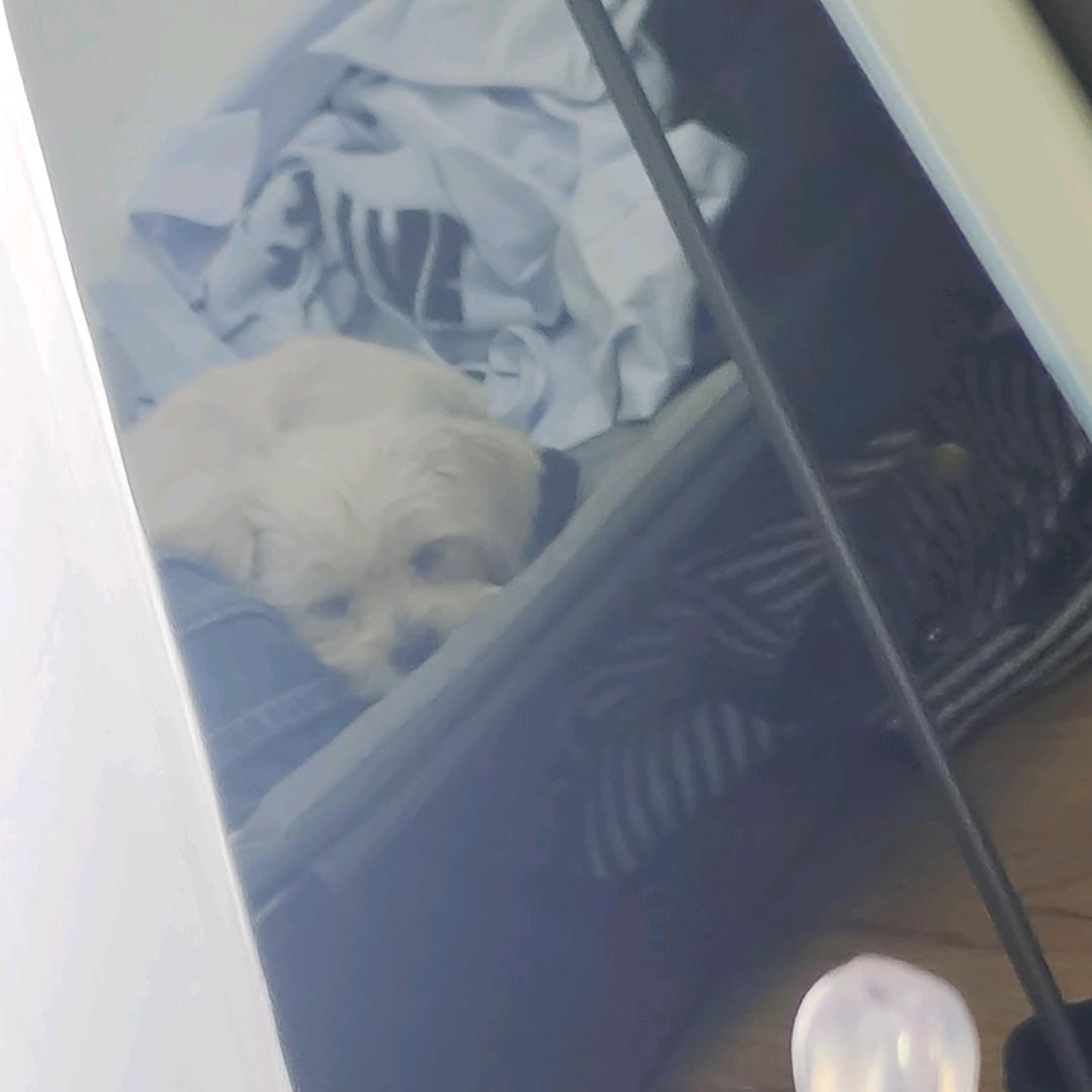 小周哥女装牛仔服饰