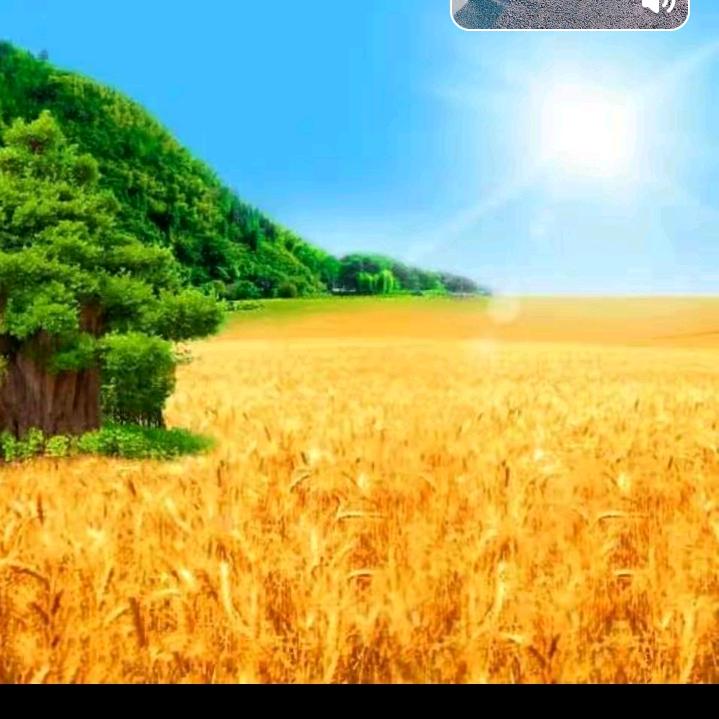 🇨🇳东方歌9999