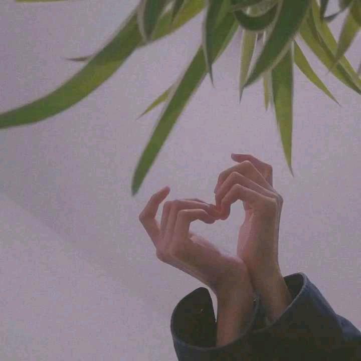 小媛