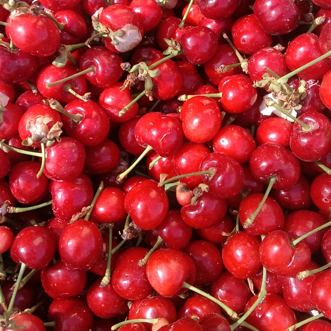 临潼区农业基地