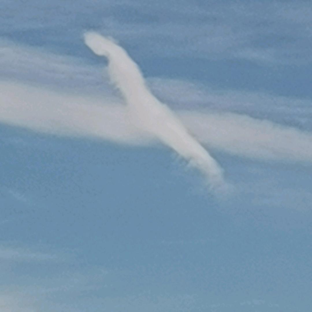 时间匆匆大飞哥🇨🇳