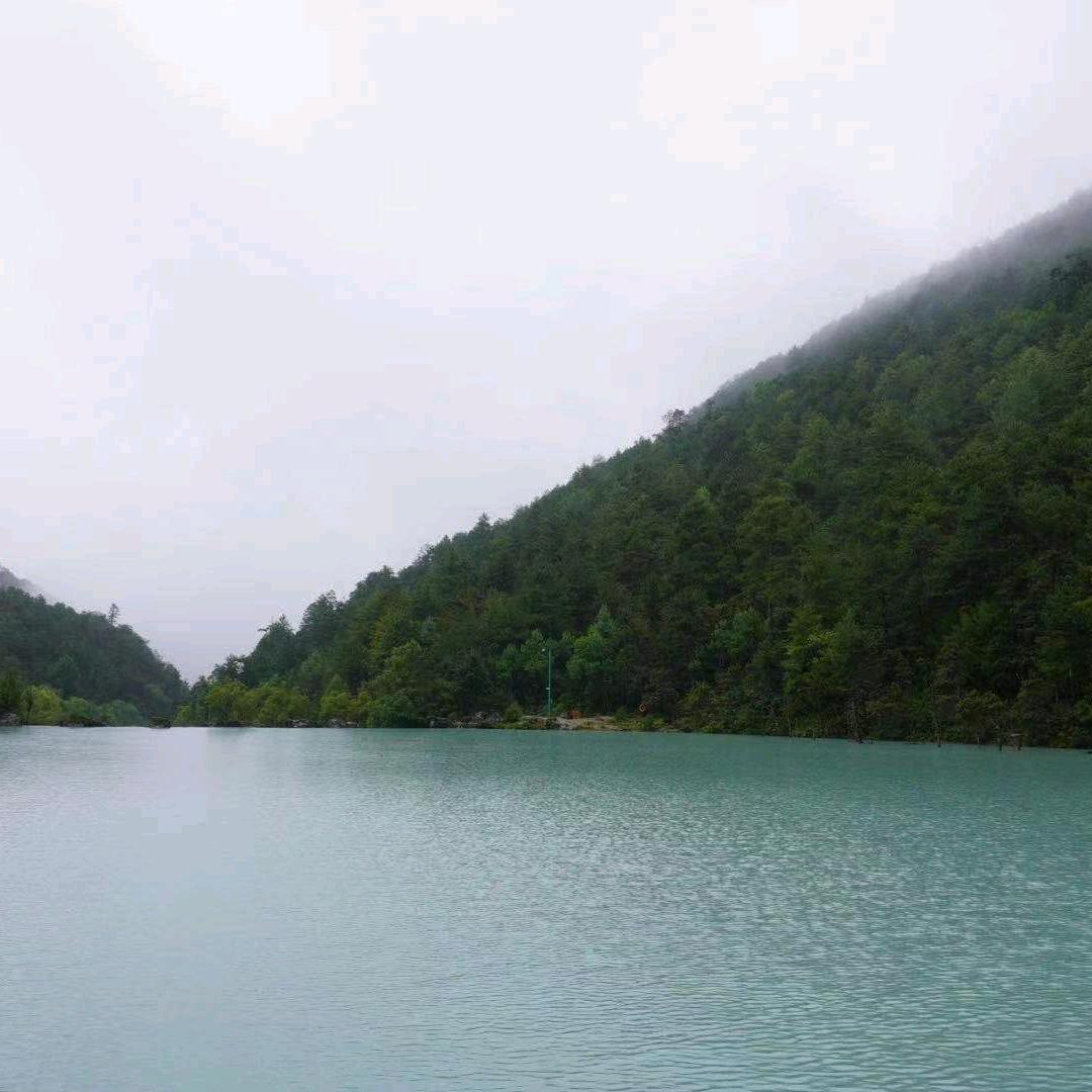 登峰7682头像