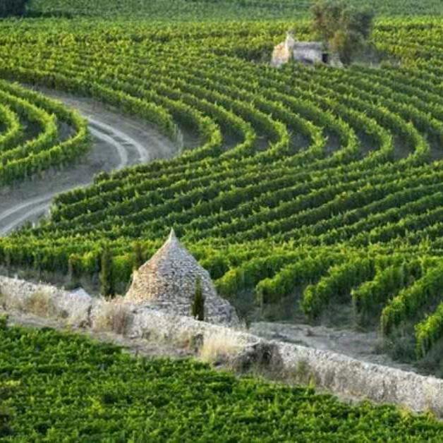 @一程山水一年华