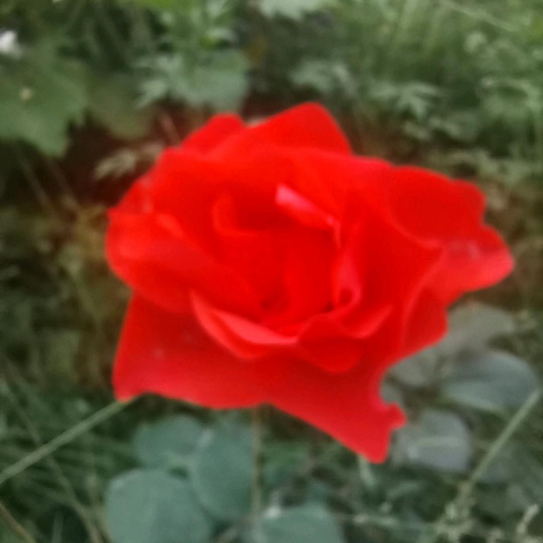 无所畏惧🔦