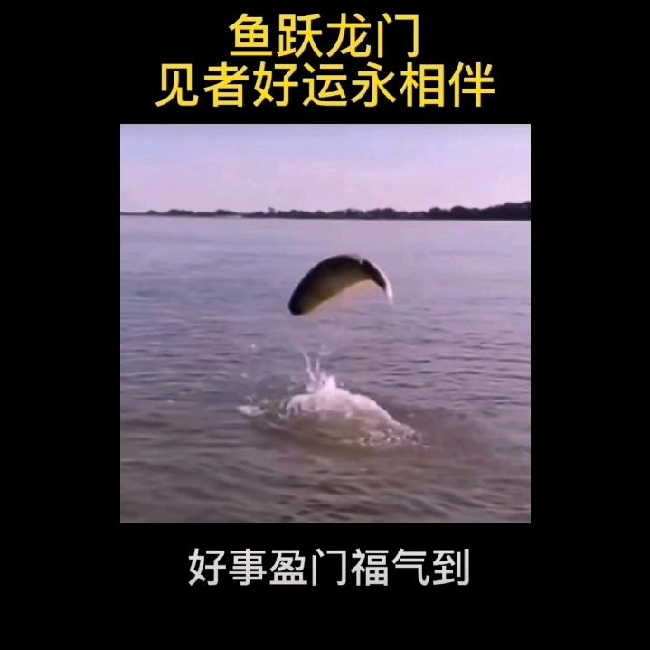 鱼跃龙门