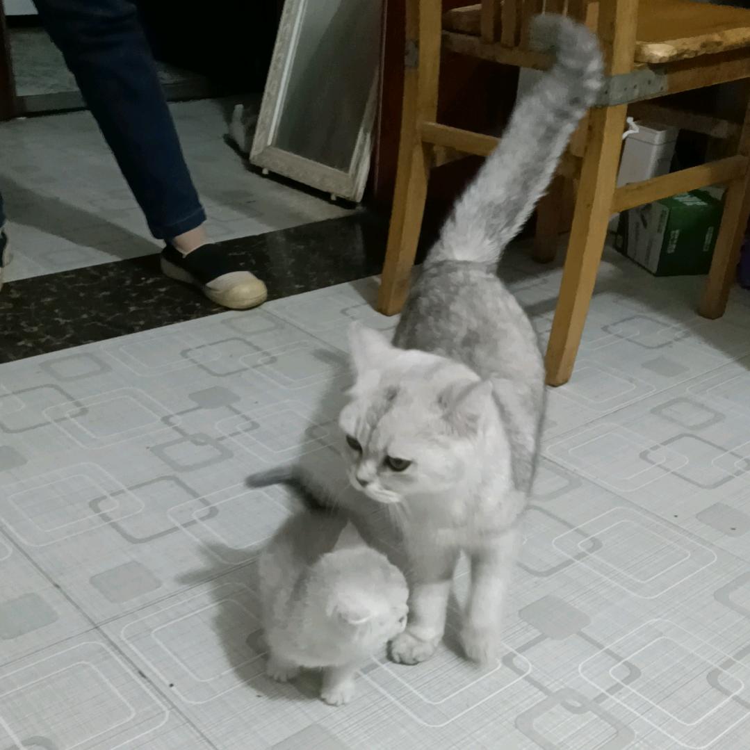 用户7254845160203