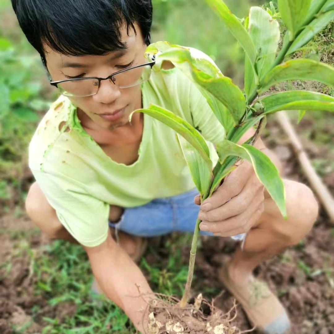农业人小周（正能量）