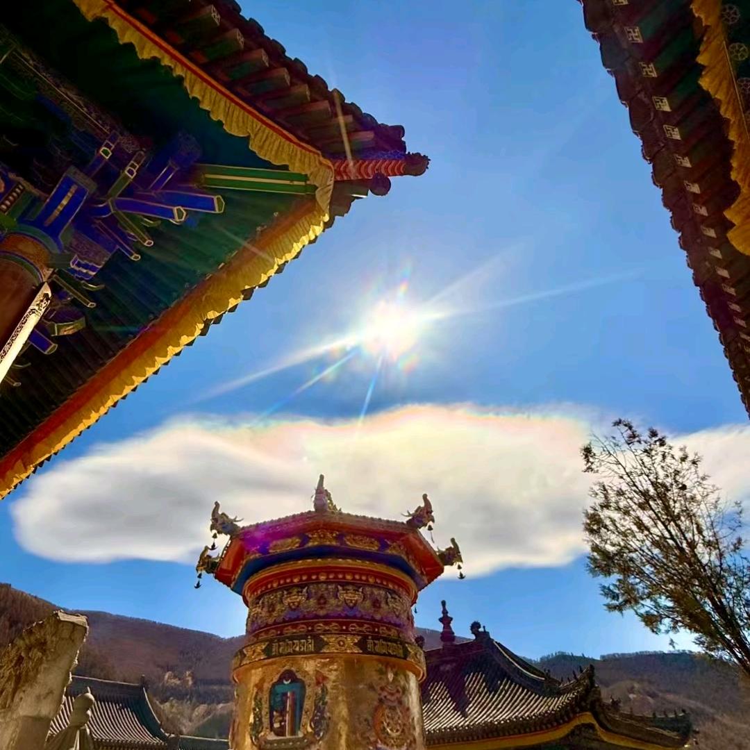 清风淡雅