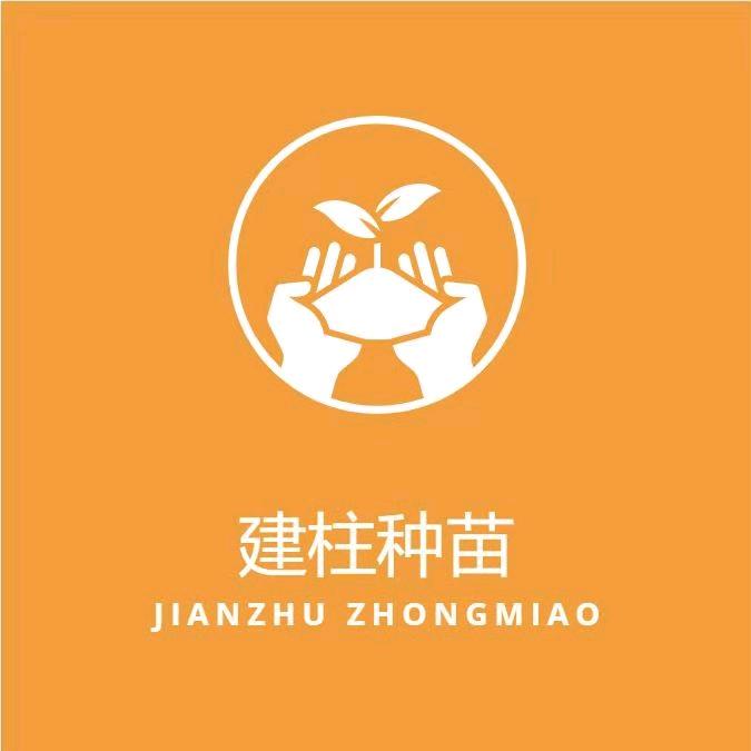 建柱种苗-李文亮