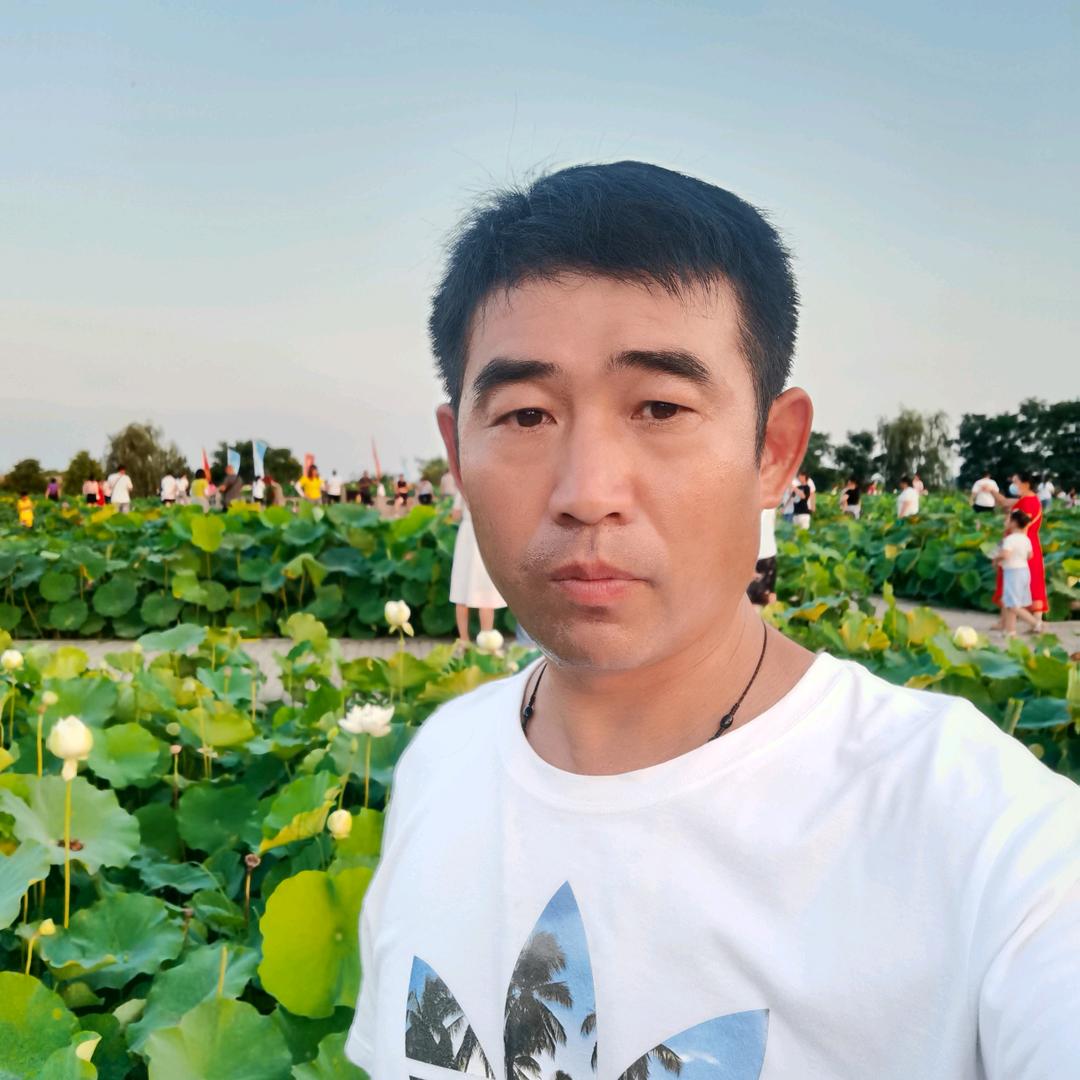 千亩小麦良种培育基地