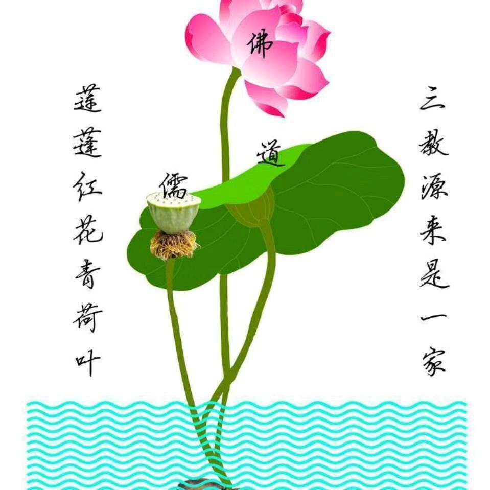 天台瑞雪姐