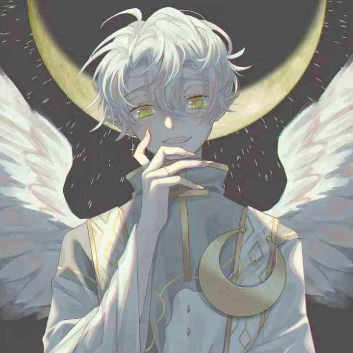 停停停