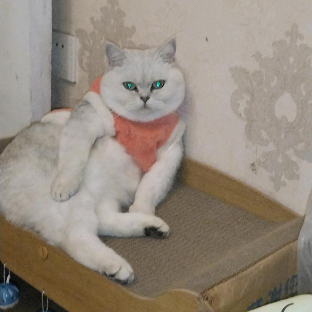 浮游