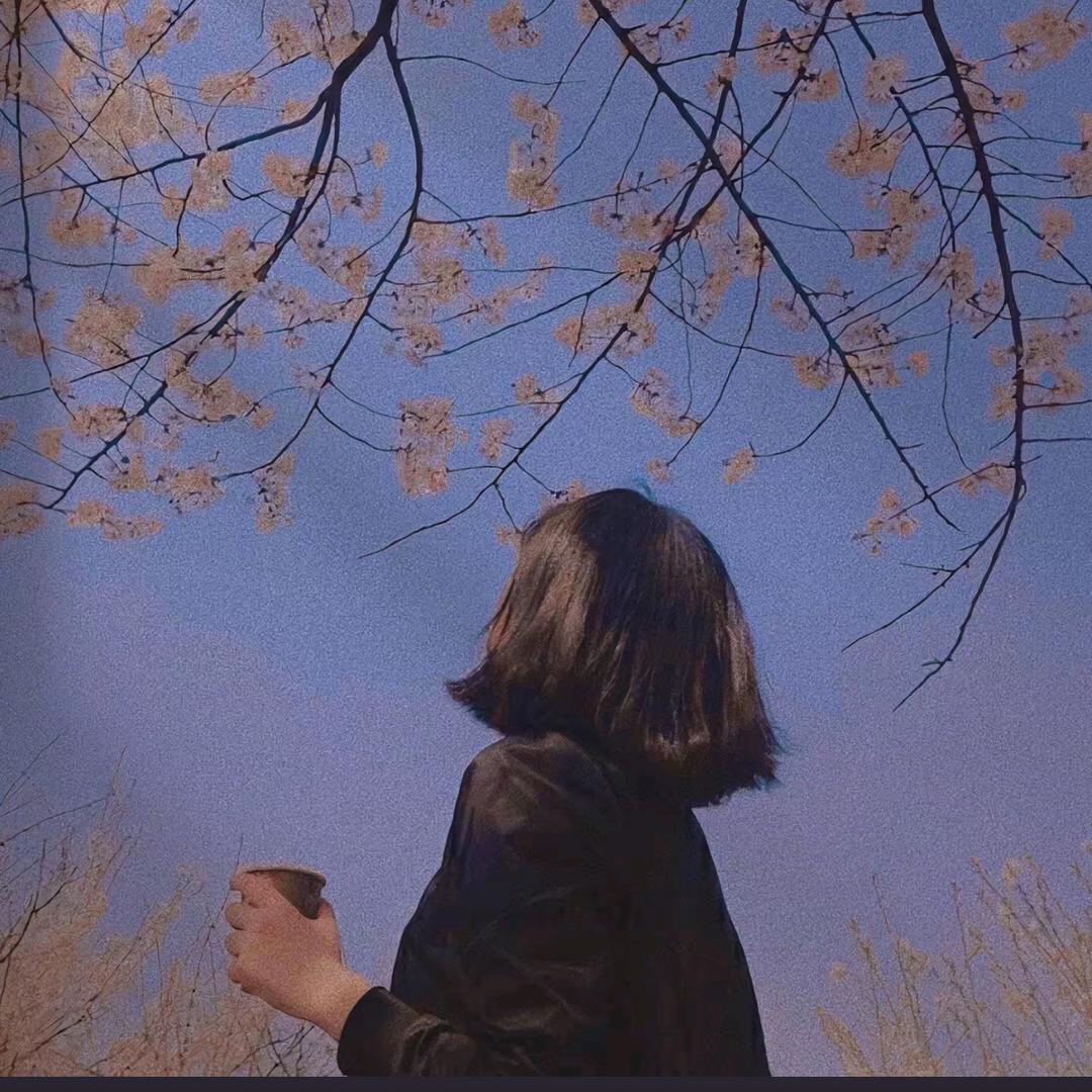 期许♡