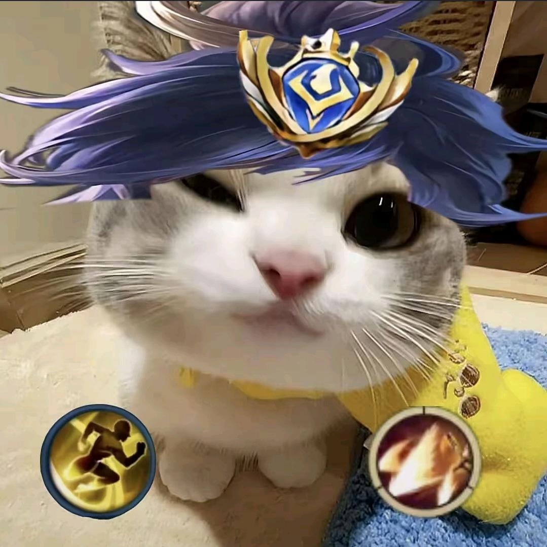 Quinn