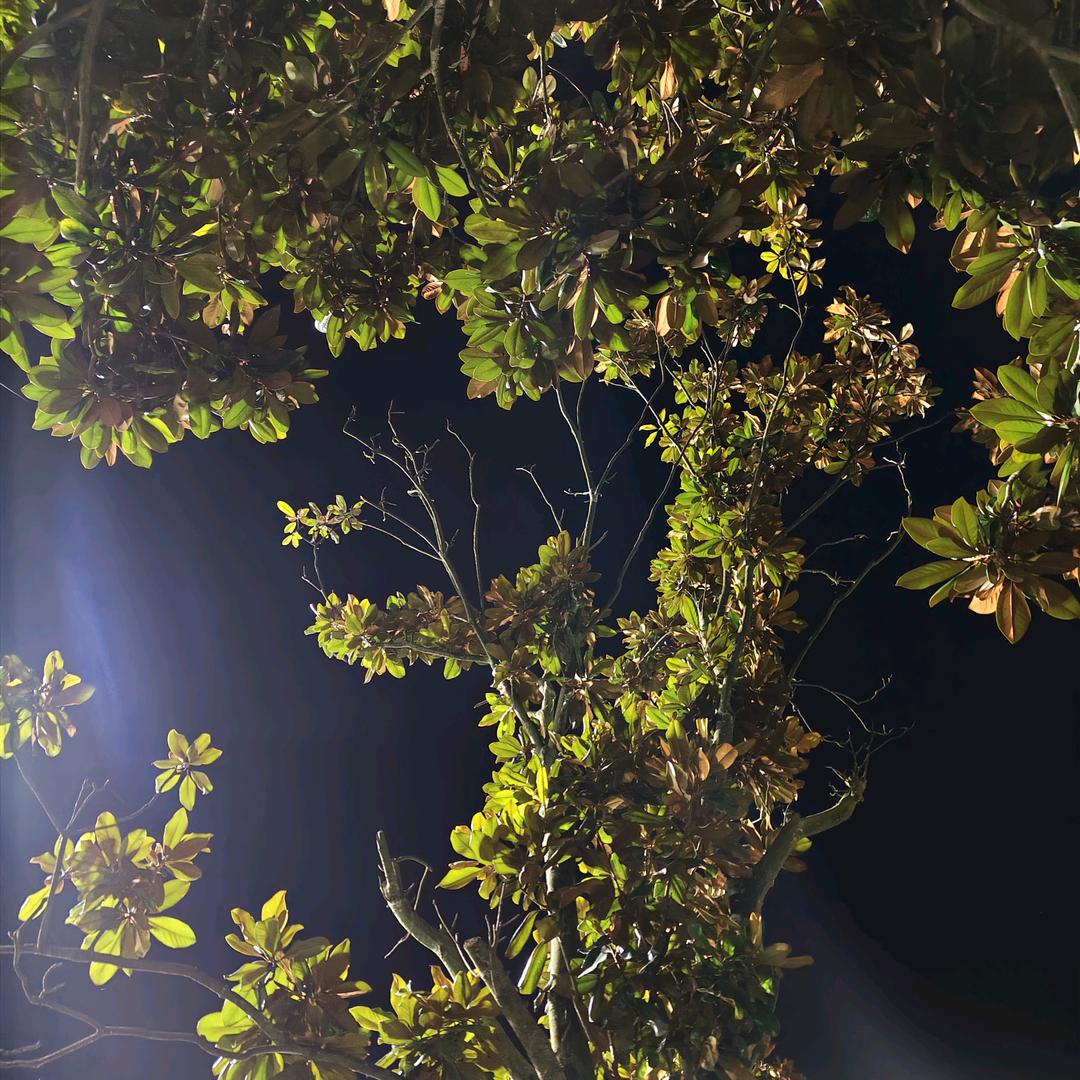 清 零(ɔˆз(ˆ⌣ˆc)