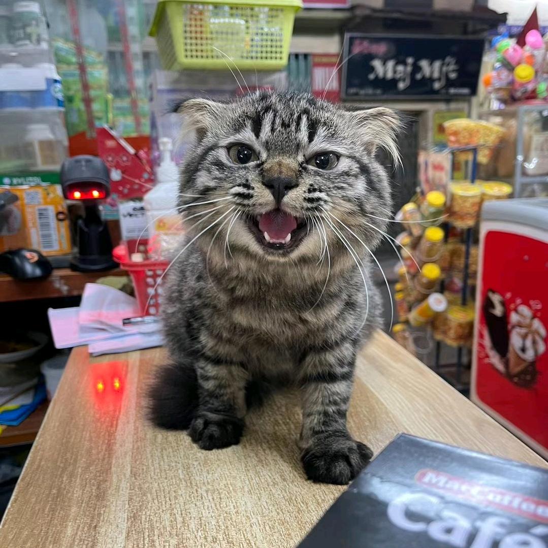就不写日记