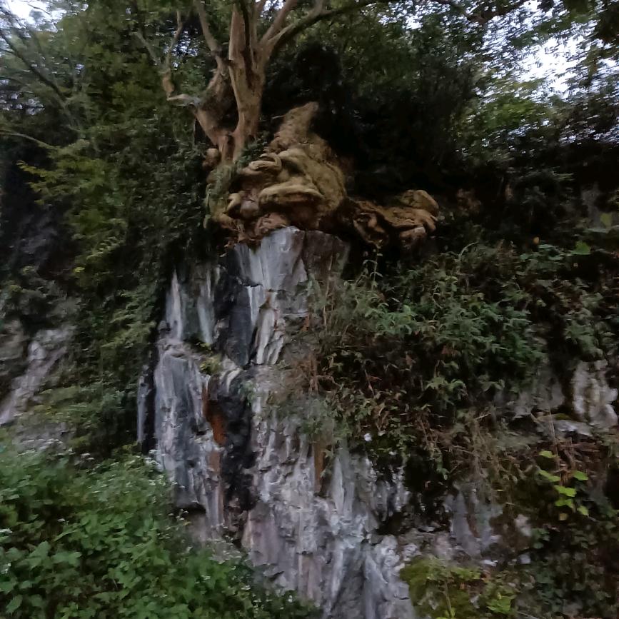 哥是种田人（谌）