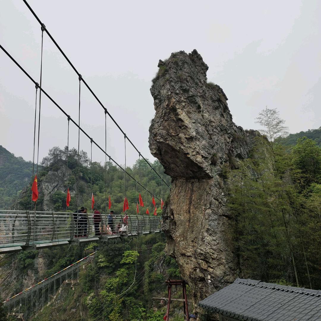 ✨️回头是岸💫