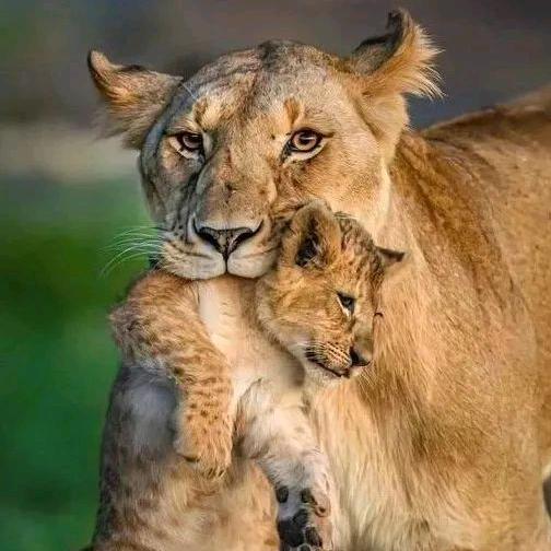 本号待注销中……