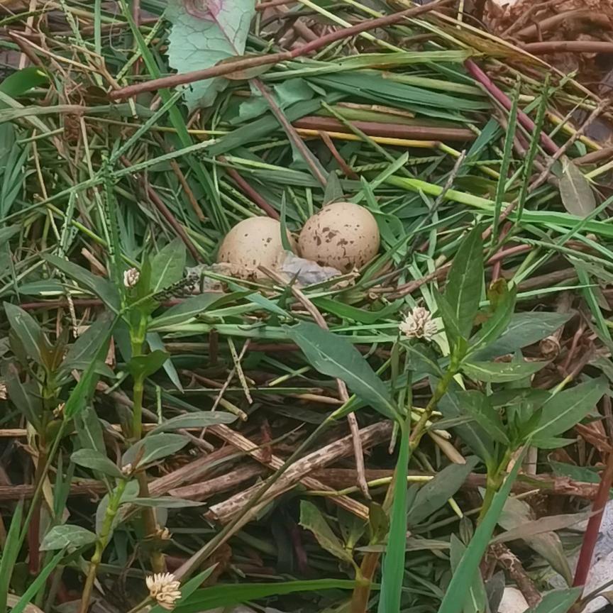 不用解释