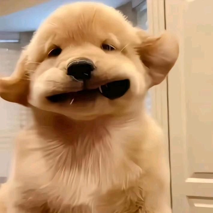 ʰᵉˡˡᵒ𝙠𝙞𝙩𝙩𝙮