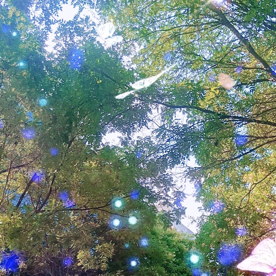 既然你办法