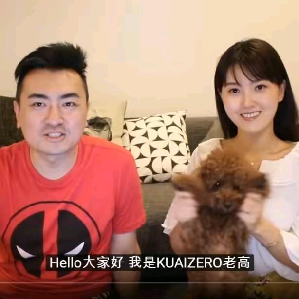 老高与小茉 最快更新合集