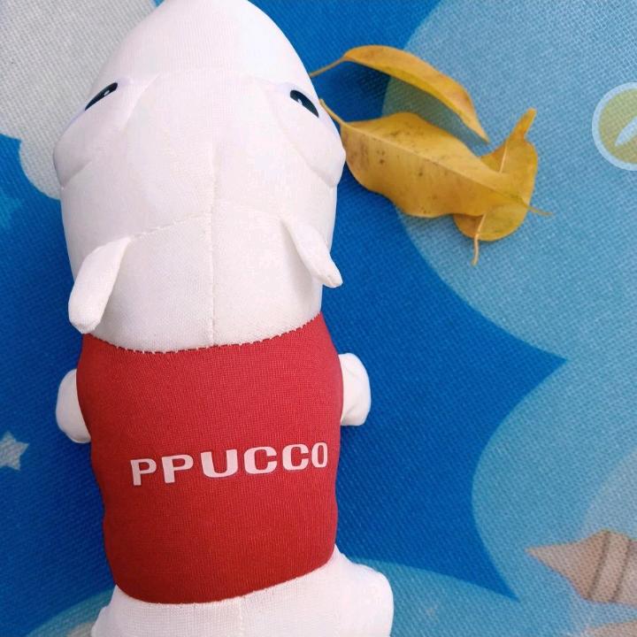 星星公主