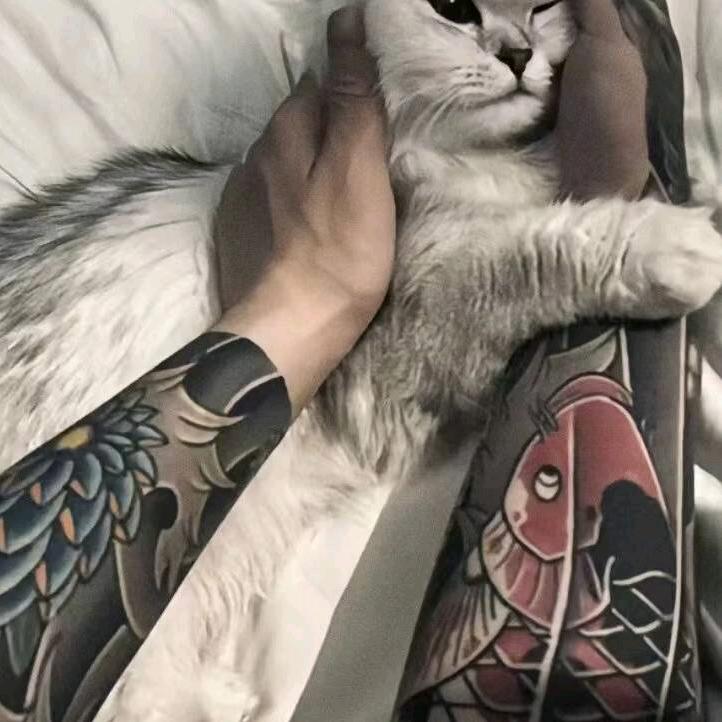 豪的朋友圈
