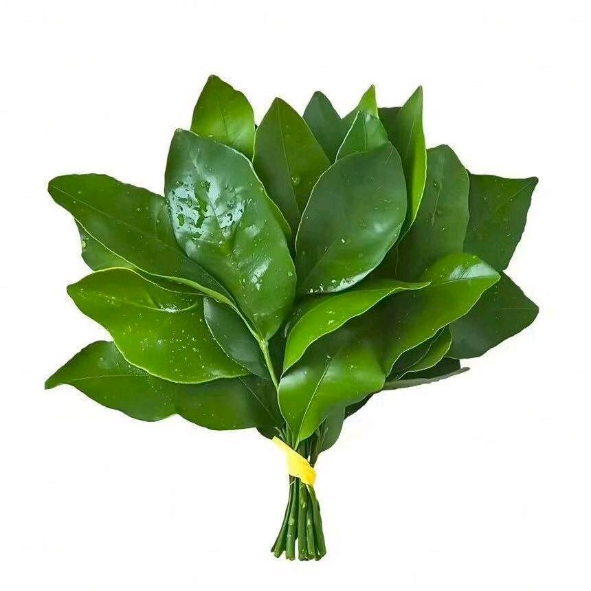 再吃一口披萨